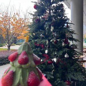 走心不是freestyle