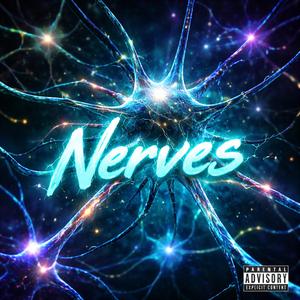 Nerves