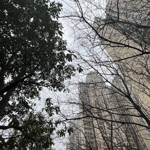 让星（cover NINEONE)