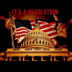 It's A Revolution