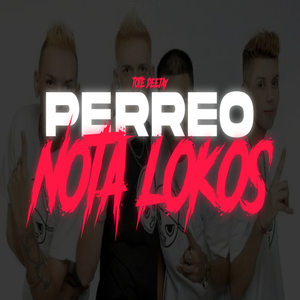Perreo Notalokos