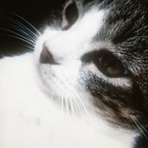 Baby Blue Movie (slowed)