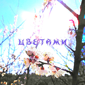 цветами (prod. by SWIFTNESS2H)