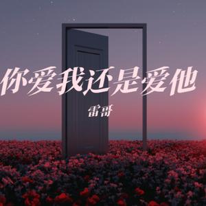 你爱我还是爱他