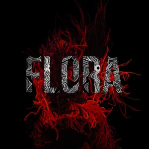 Ruzhi / Roses (Album version)