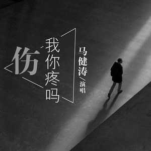 伤我你疼吗 (DJ版)