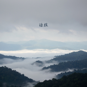 浅笑嫣然 (手碟)