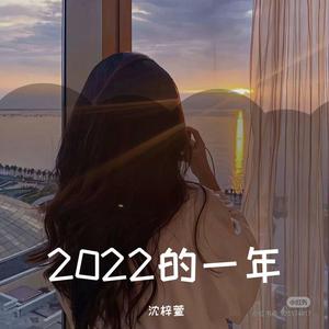 2022的一年