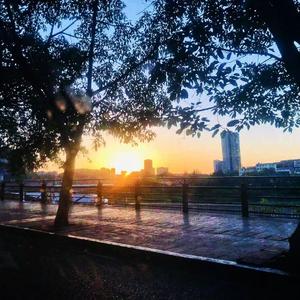 飞鸟和蝉（翻唱片段）