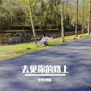 去见你的路上