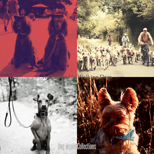 Hip Happy Dogs
