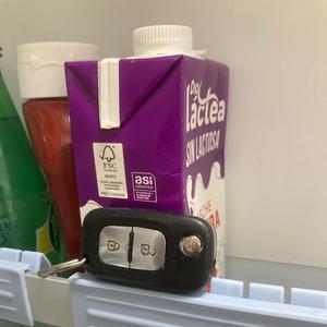 Obsolescencia programada