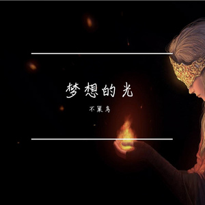 梦想的光正式版