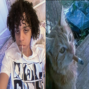 【free】“爆了爆了”Underground×EDM trap type beat