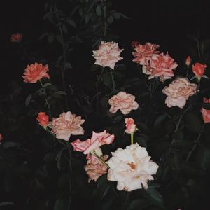 [FREE]“车站”Boombap/Soul/叙事/Emo Type Beat