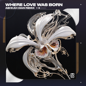 Where Love Was Born (Ashkan Dian Remix)