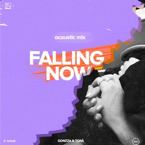Falling Now (feat. Nanie) (Acoustic Mix)