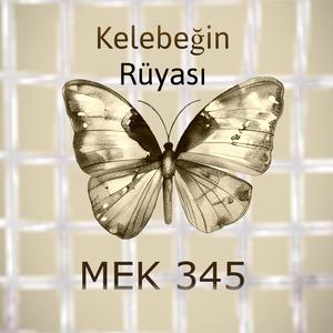 Kelebeğin Rüyası