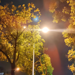 深夜的路灯陪我回家 伴奏