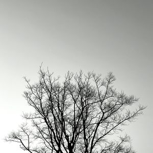 【笛】刹那芳华曲