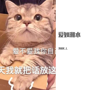 爱如潮水（铃声版）（翻自 前男友）