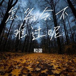 怎么会不难过呢 (Cover 陈陈陈)