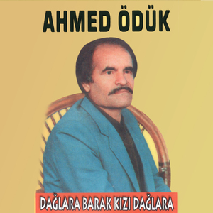 Destanlar Yazan Gelin