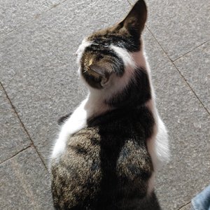 蓝天白云下的快乐