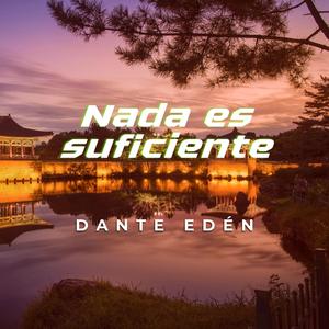 Nada es suficiente