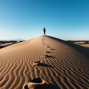 这就是我所在的行业