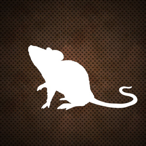 Principio Tdg (Intrip Remix)