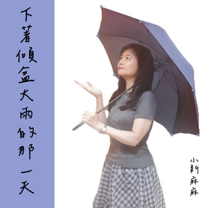 下着倾盆大雨的那一天