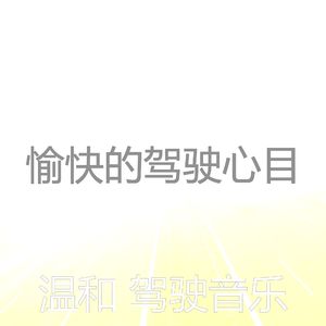 优美汽车器乐