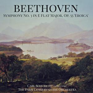 Symphony No. 3 in E Flat Major, Op. 55: II. Marcia funèbre (Adagio assai)