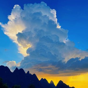 随波逐流-洋葱不白