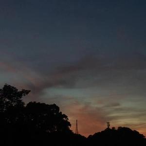 我不想失去你（Cover 新裤子）（Cover：新裤子）