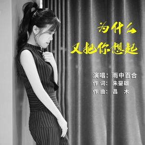 为什么又把你想起