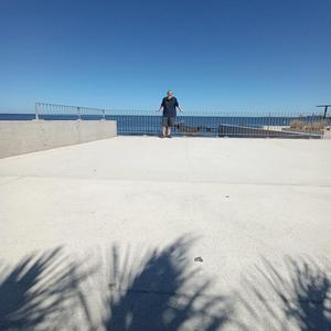 El trabajo del artista