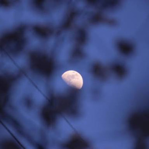 会えない夜でも