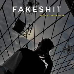 Fakeshit