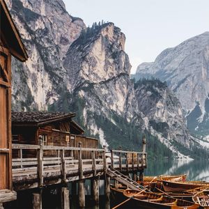 早晨森林中的手碟