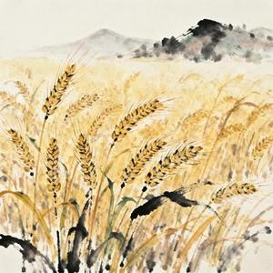 田间