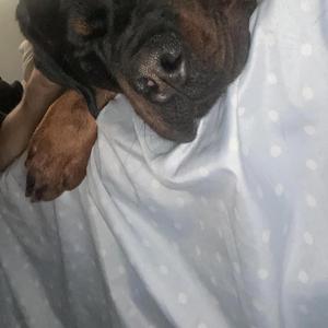 TERAPIA Y PETAS (feat. CATES)