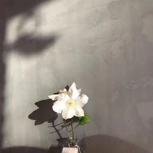 Whitney Houston-call You Tonight（十七 remix）