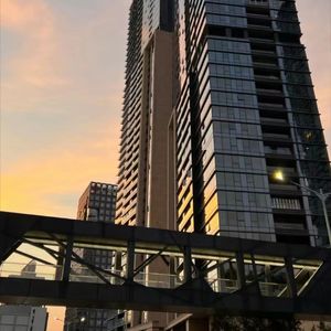 天真世界的叛徒