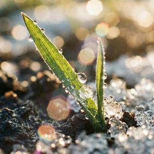 Дощ Надії (feat. oivsio)