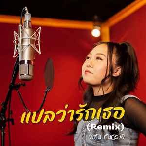 แปลว่ารักเธอ (Remix)