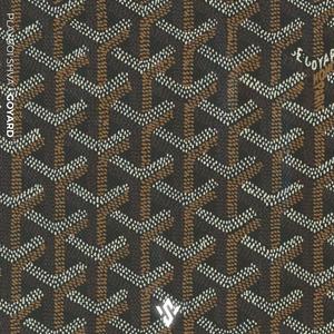 Goyard (feat. Playboi SHVA)