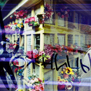 Условное счастье