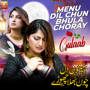 Menu Dil Chun Bhula Choray